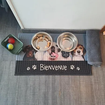 Vue A Dieppe, Les Pieds Dans L'eau Apartment