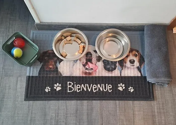 Vue A Dieppe, Les Pieds Dans L'eau Apartament